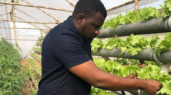 Ghana to Establish 250 Farm Service Centres to Boost Agricultural Production